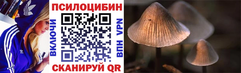 Псилоцибиновые грибы ЛСД  Купить где  Каменка 